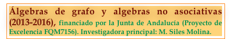 Álgebras de grafo y algebras no asociativas (2013-2016), financiado por la Junta de Andalucía (Proyecto de Excelencia FQM7156). Investigadora principal: M. Siles Molina.