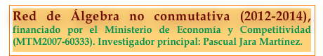 Red de Álgebra no conmutativa (2012-2014), financiado por el Ministerio de Economía y Competitividad (MTM2007-60333). Investigador principal: Pascual Jara Martínez.