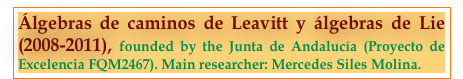 Álgebras de caminos de Leavitt y álgebras de Lie (2008-2011), founded by the Junta de Andalucía (Proyecto de Excelencia FQM2467). Main researcher: Mercedes Siles Molina.