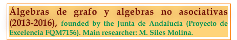 Álgebras de grafo y algebras no asociativas (2013-2016), founded by the Junta de Andalucía (Proyecto de Excelencia FQM7156). Main researcher: M. Siles Molina.
