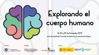 Explorando el cuerpo humano II