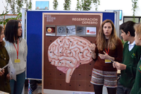 La UMA celebra el "Unistem Day" con microconferencias y juegos para acercar la investigación a los estudiantes