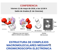 Estructura de complejos macromoleculares mediante criomicroscopía electrónica