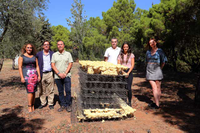 Exposición ‘Four reasons: el jardín y su doble’ en el Parque Cementerio de Málaga