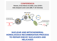 Conferencia: Nuclear and mitochondrial homologous recombination process to repair DSB by nucleases and helicases