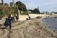 Voluntarios de la UMA y ecologistas llevan a cabo una jornada de limpieza en la playa de Mijas