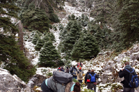 La UMA realiza un estudio de la flora y vegetación de la Sierra de las Nieves