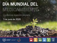 5 de junio, Día Mundial del Medio Ambiente 