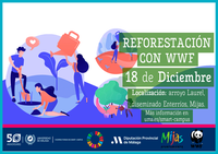 Reforestación con la UMA: plantando los bosques del futuro