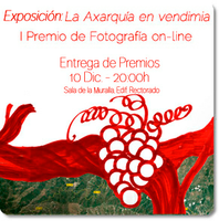 EXPOSICIÓN LA AXARQUÍA EN VENDIMIA. I PREMIO DE FOTOGRAFÍA ON-LINE