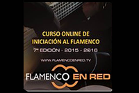 FLAMENCO EN RED