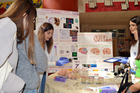 Las investigadoras de la Universidad toman la palabra en la jornada ‘Mujeres en neurociencia’