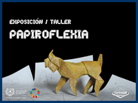 Exposición y taller de papiroflexia “Fauna de España En Peligro”