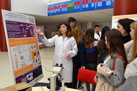 El Día Internacional de la Mujer y la Niña en la Ciencia protagoniza febrero en la Universidad