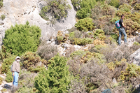 Parte del equipo científico durante la fase de campo en el Parque Nacional Sierra de las Nieves