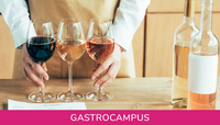 gastrocampus-CABECERA-vino