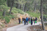 III Jornada de Sensibilización Ambiental en Los Reales de Sierra Bermeja