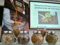 Curso de introducción a la cerveza artesana