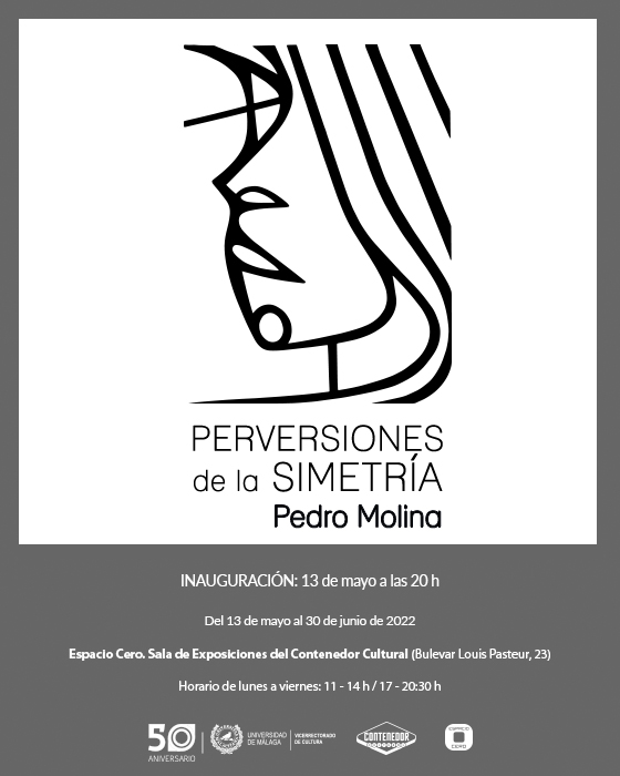 PERVERSIONES DE LA SIMETRIA